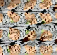 Sushi Pia - Accommodation BNB