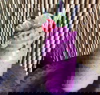 Jungle - Accommodation BNB