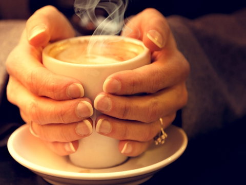 J & L Coffee Roasters And Chocolatiers - Accommodation BNB 0