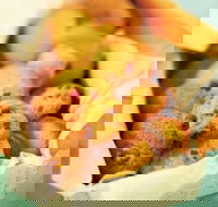 Mrs. Fields - Baldivis - Accommodation BNB