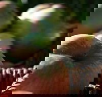 Denmark Heritage Cider Company - Accommodation BNB