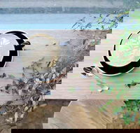 Glasshouse Hampton - Accommodation BNB