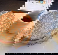 Steel Tree  Settlers - Accommodation BNB