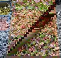 The Market Hotel - Accommodation BNB