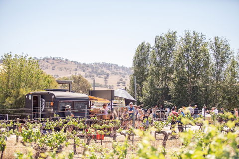 Thistle Hill Wines - Accommodation BNB 0