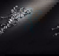 PJ O'Reilly's Irish Pub - Accommodation BNB