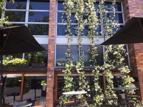Quincy's Bar & Cafe - Accommodation BNB 0