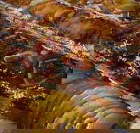 Queens Pastri House - Accommodation BNB