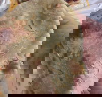 Zaika Tandoor - Accommodation BNB