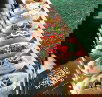 Balter Brewing Company - Accommodation BNB