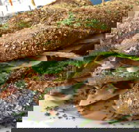 Bean Out - Accommodation BNB