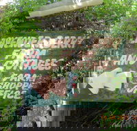 Lavender and Berry Farm Cafe - Accommodation BNB