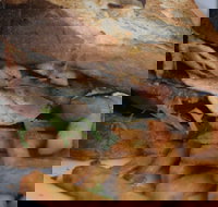 Oasis by the river restaurant  cafe - Accommodation BNB