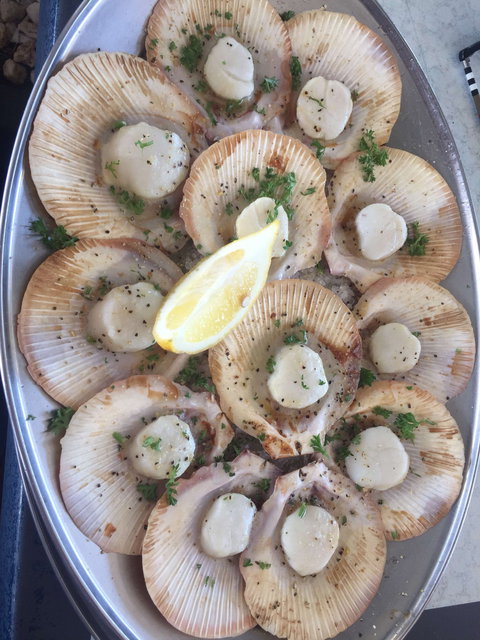 The Deck On Parkyn - Accommodation BNB 0