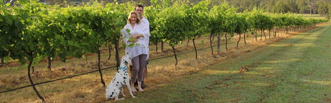 Greenway Wines - Accommodation BNB 1