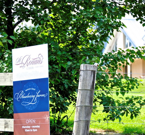 Badger Creek Blueberry Winery - Accommodation BNB 1
