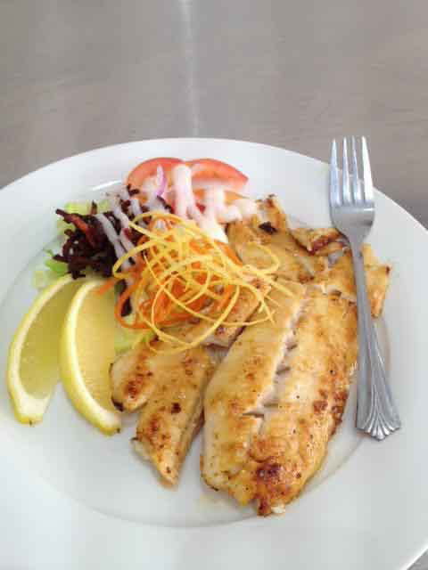 Fishy But Nice - Springfield - Accommodation BNB 0