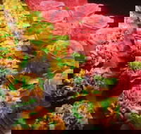 Miettes Boulangerie Patisserie - Graceville - Accommodation BNB