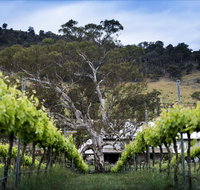 Mount Majura Vineyard - Accommodation BNB