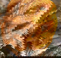 Love Kebabs - Accommodation BNB