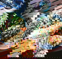 Luxe Fish - Accommodation BNB