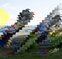 Sunhill Dairy Goats and Sunhill Skin Essentials - Accommodation BNB