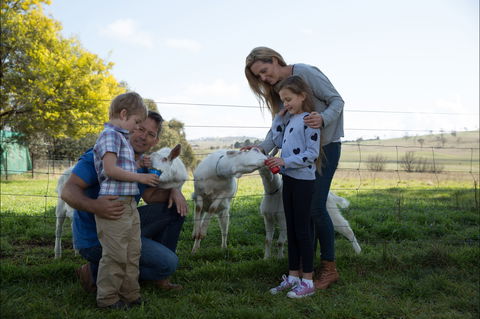 Sunhill Dairy Goats And Sunhill Skin Essentials - Accommodation BNB 0