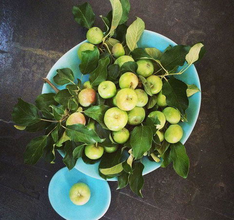 Seed Winehouse + Kitchen - Accommodation BNB 6