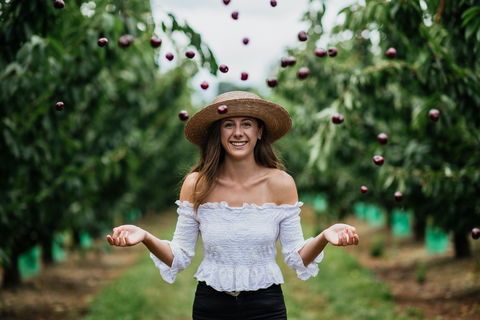 Cherryhill Orchards - Accommodation BNB 0