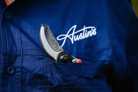 Austin's Wines - Accommodation BNB 2