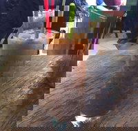 Caf Xua - Accommodation BNB