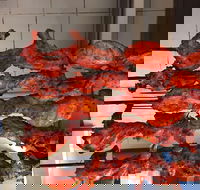 Curry on the Rocks - Accommodation BNB