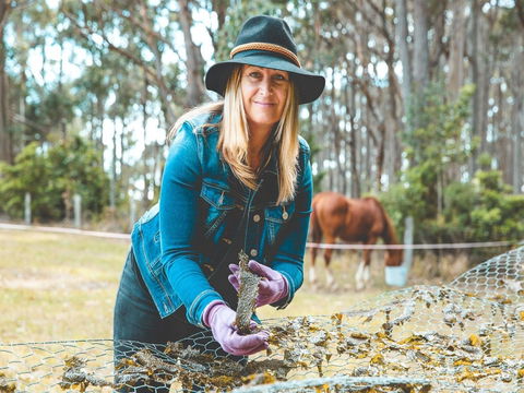 MbK For Life - Mystery Bay Kelp - Accommodation BNB 0