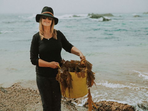 MbK For Life - Mystery Bay Kelp - Accommodation BNB 2