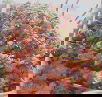 M Deli Cafe - Accommodation BNB