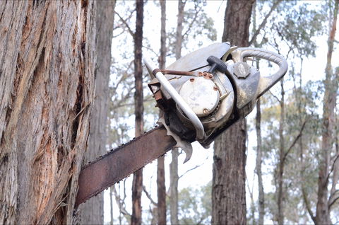 Mount Buninyong Winery - Accommodation BNB 2