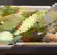 Pronto Pizza - Accommodation BNB