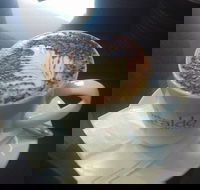 Cafe Marina and Pizzaria - Accommodation BNB