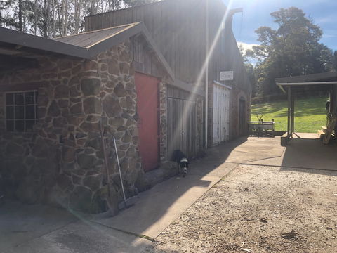 Wilmot Hills Orchard & Distillery - Accommodation BNB 1