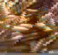 Fish Food with a Difference - Accommodation BNB