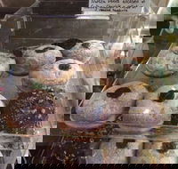 Gaffney Place - Accommodation BNB