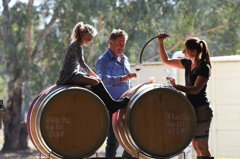 Warrabilla Wines - Accommodation BNB 1