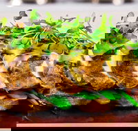 Allure On Currumbin - Accommodation BNB