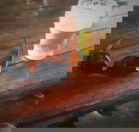 Samford Valley Hotel - Accommodation BNB