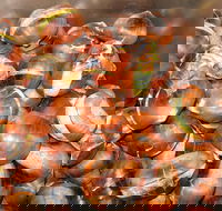 Tweenhills Chestnuts - Accommodation BNB