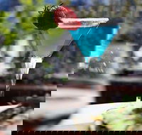 Terrazza Restaurant  Bar - Accommodation BNB