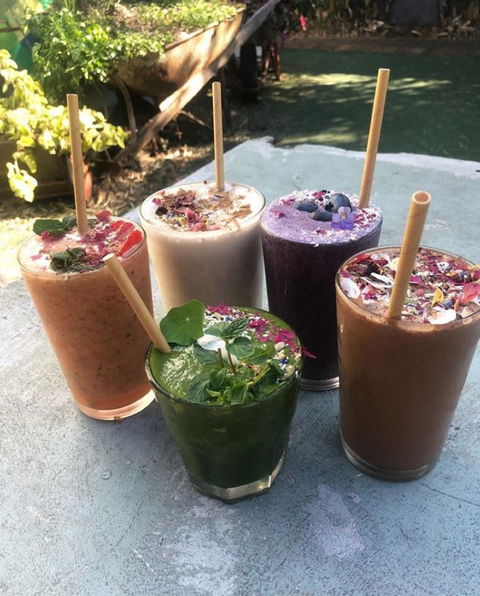 Garden Grub Cafe - Accommodation BNB 0