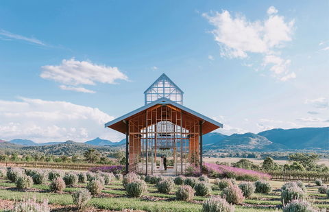 Kooroomba Vineyard And Lavender Farm - Accommodation BNB 0