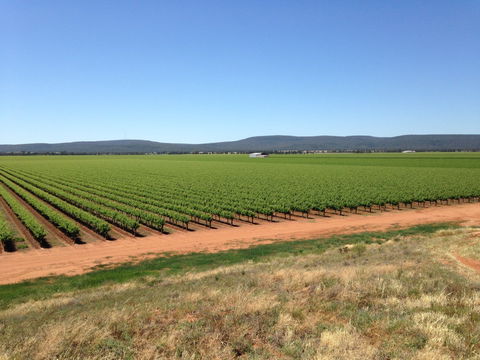 Melange Wines - Accommodation BNB 0