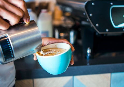 Blackbird & Co - Accommodation BNB 0